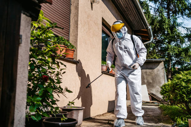 Professional Pest Control in Monfort Heights, OH