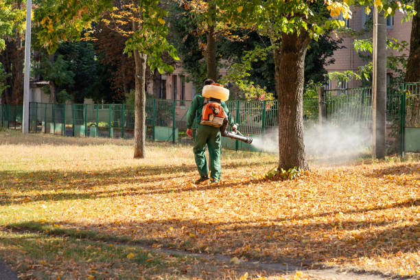 Best Pest Removal Services  in Monfort Heights, OH