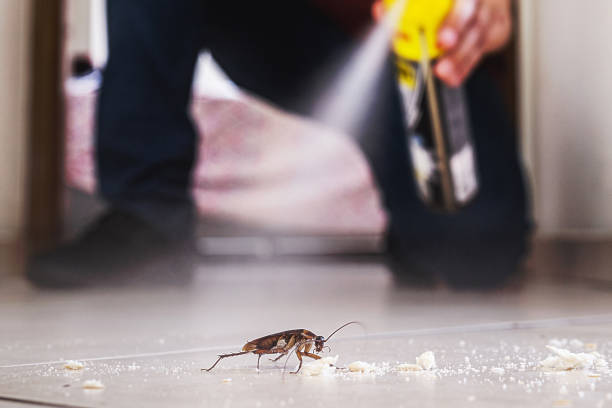 Best Insect Control  in Monfort Heights, OH